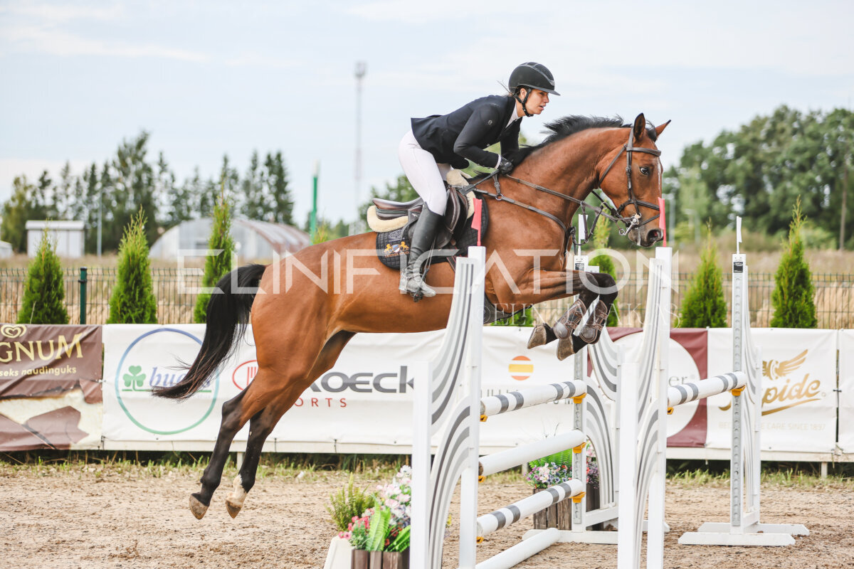 NHTS_2026_5_110cm_060