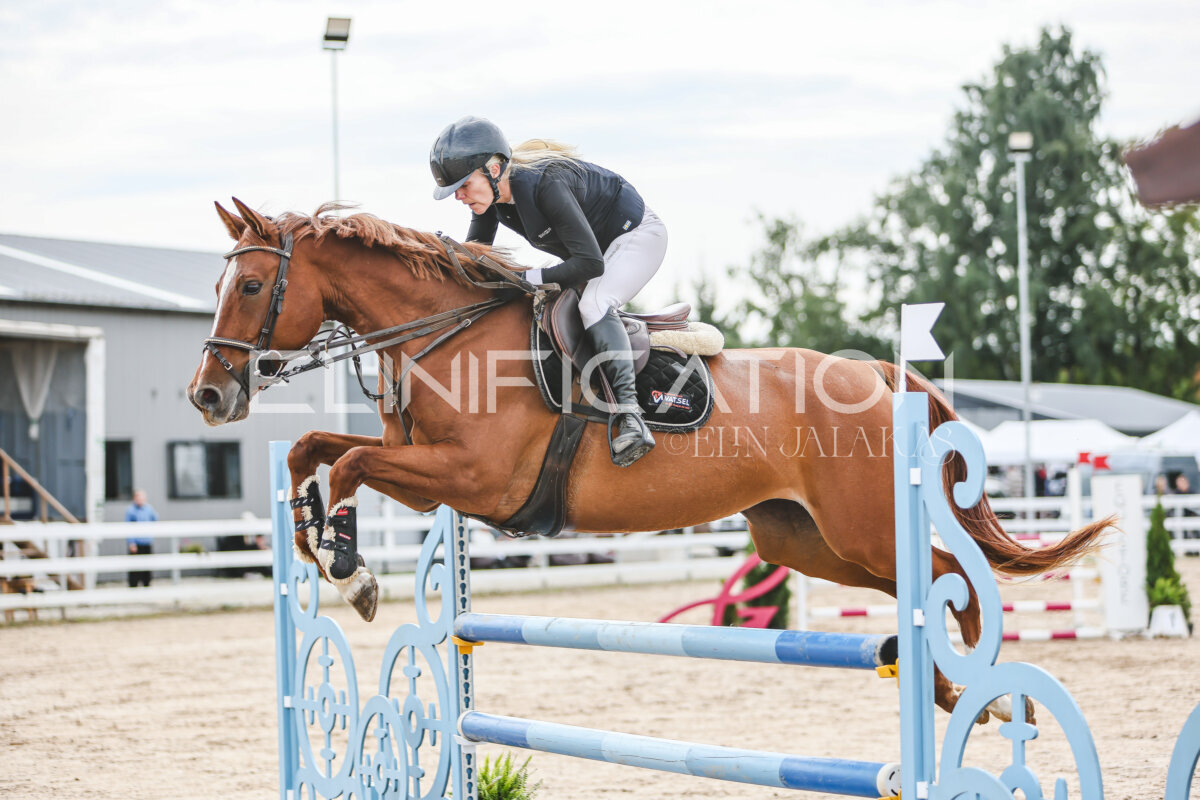 NHTS_2026_5_110cm_075