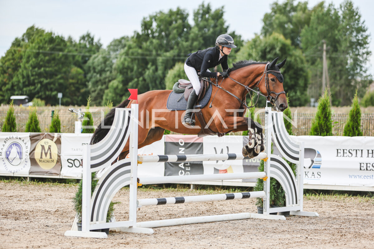 NHTS_2026_5_110cm_078