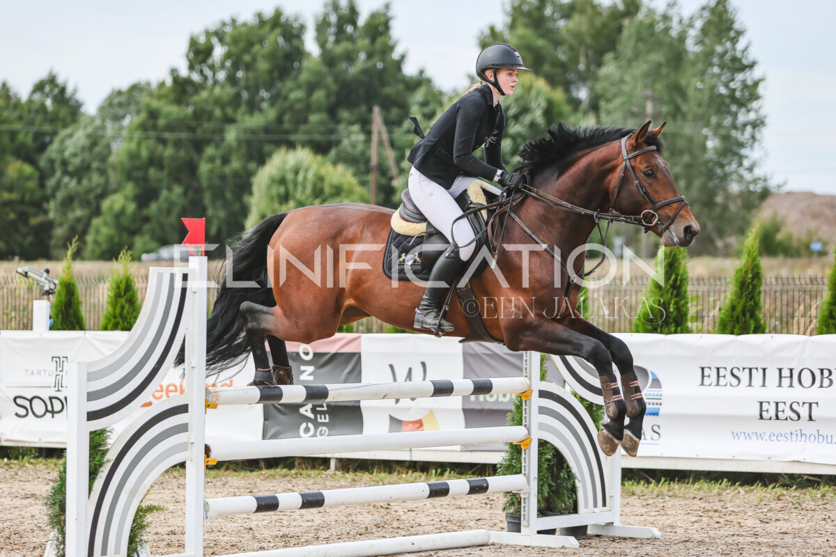 NHTS_2026_5_110cm_119