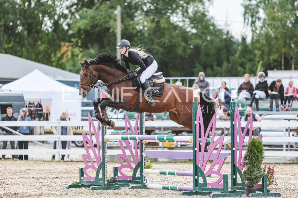 NHTS_2026_5_110cm_124