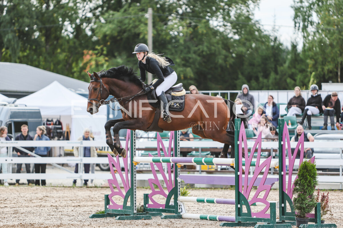 NHTS_2026_5_110cm_125