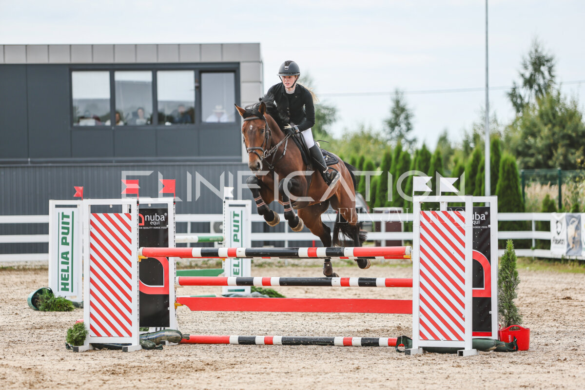 NHTS_2026_5_110cm_130