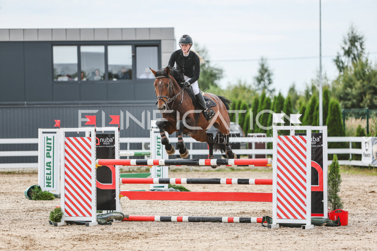 NHTS_2026_5_110cm_131