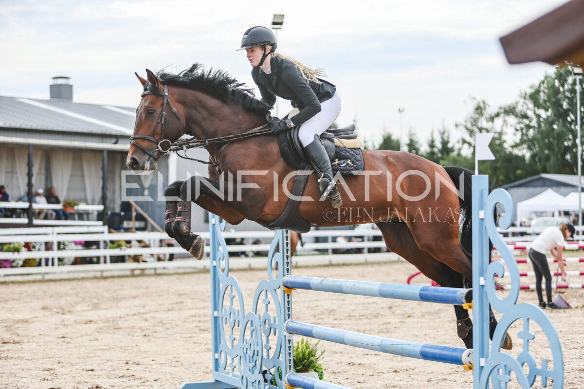 NHTS_2026_5_110cm_132