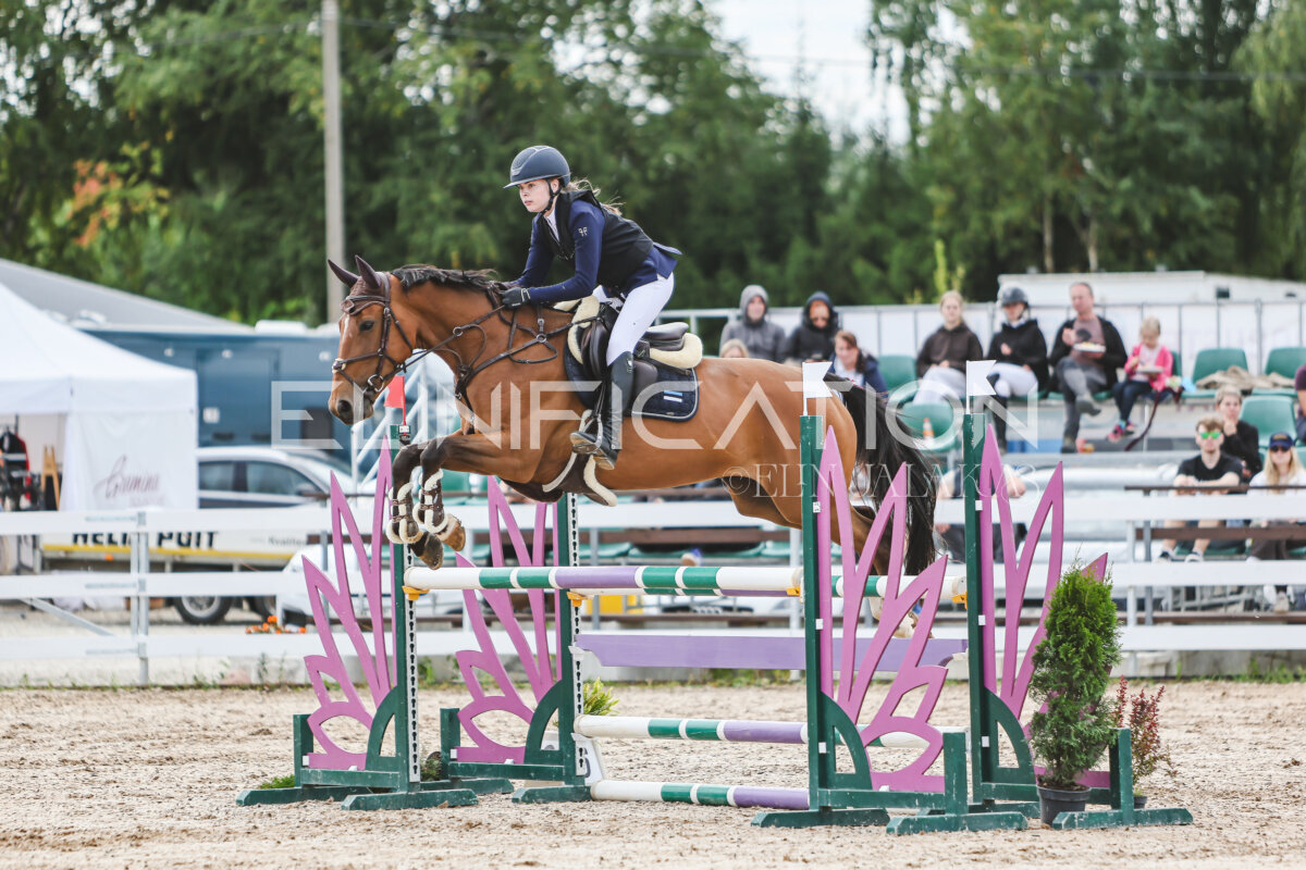 NHTS_2026_5_110cm_140