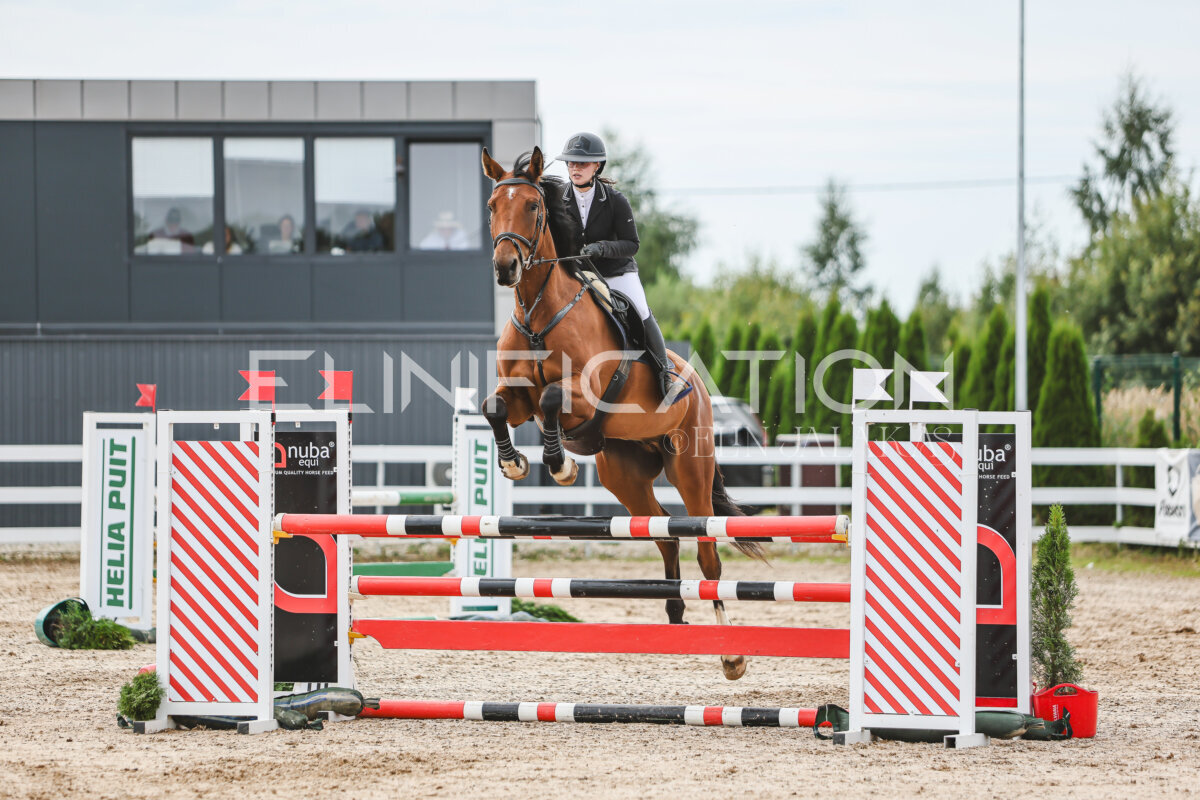 NHTS_2026_5_110cm_155