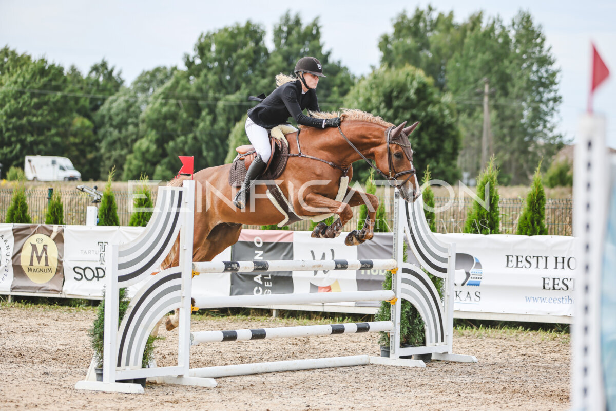 NHTS_2026_5_110cm_207