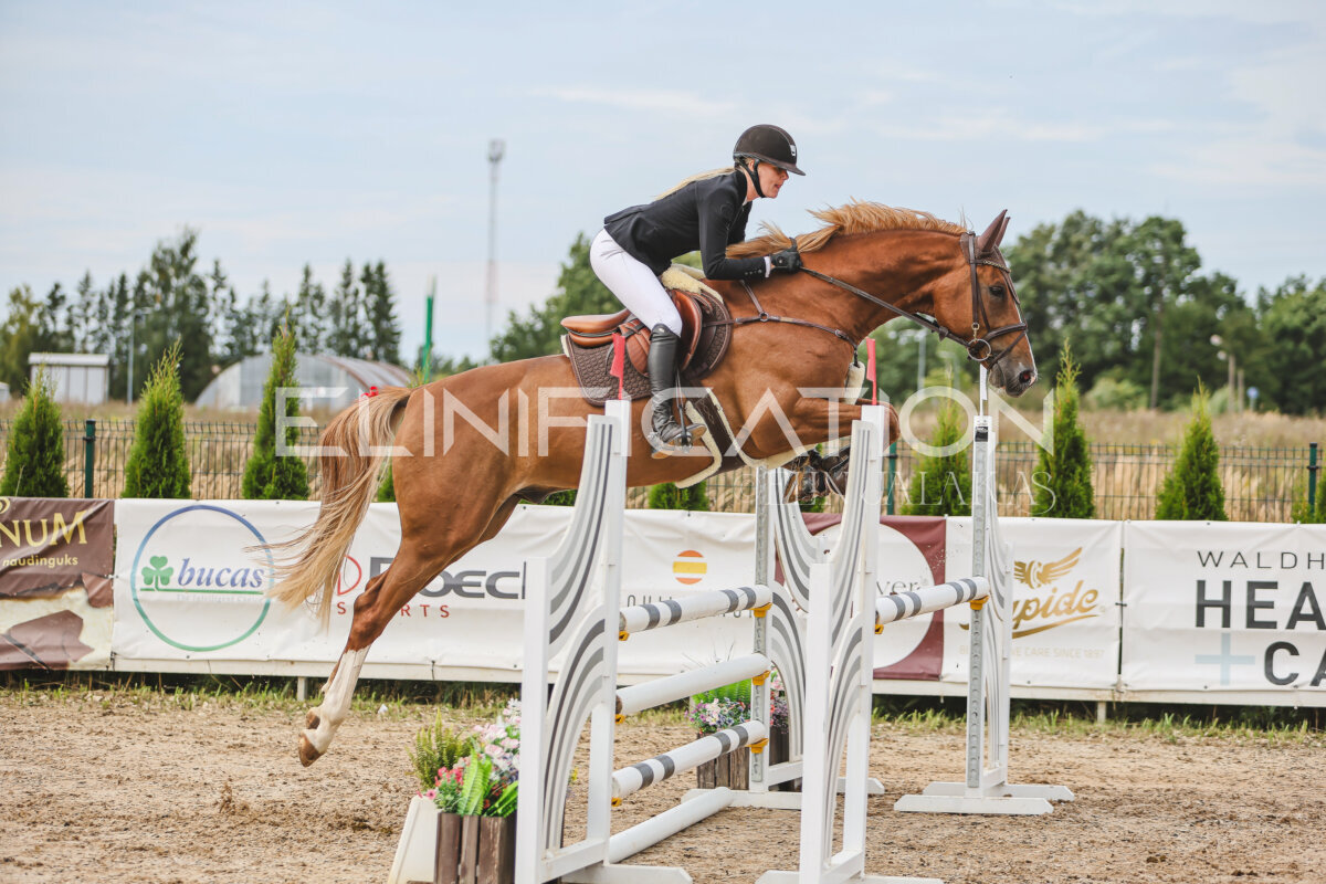 NHTS_2026_5_110cm_209