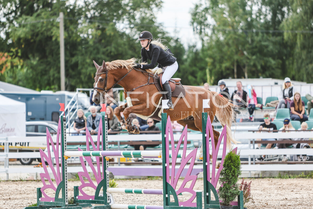 NHTS_2026_5_110cm_213