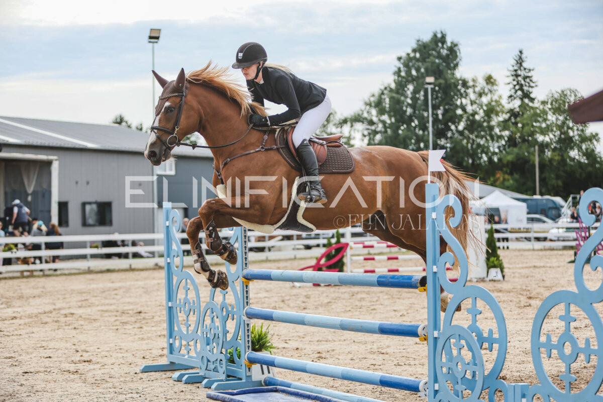 NHTS_2026_5_110cm_219