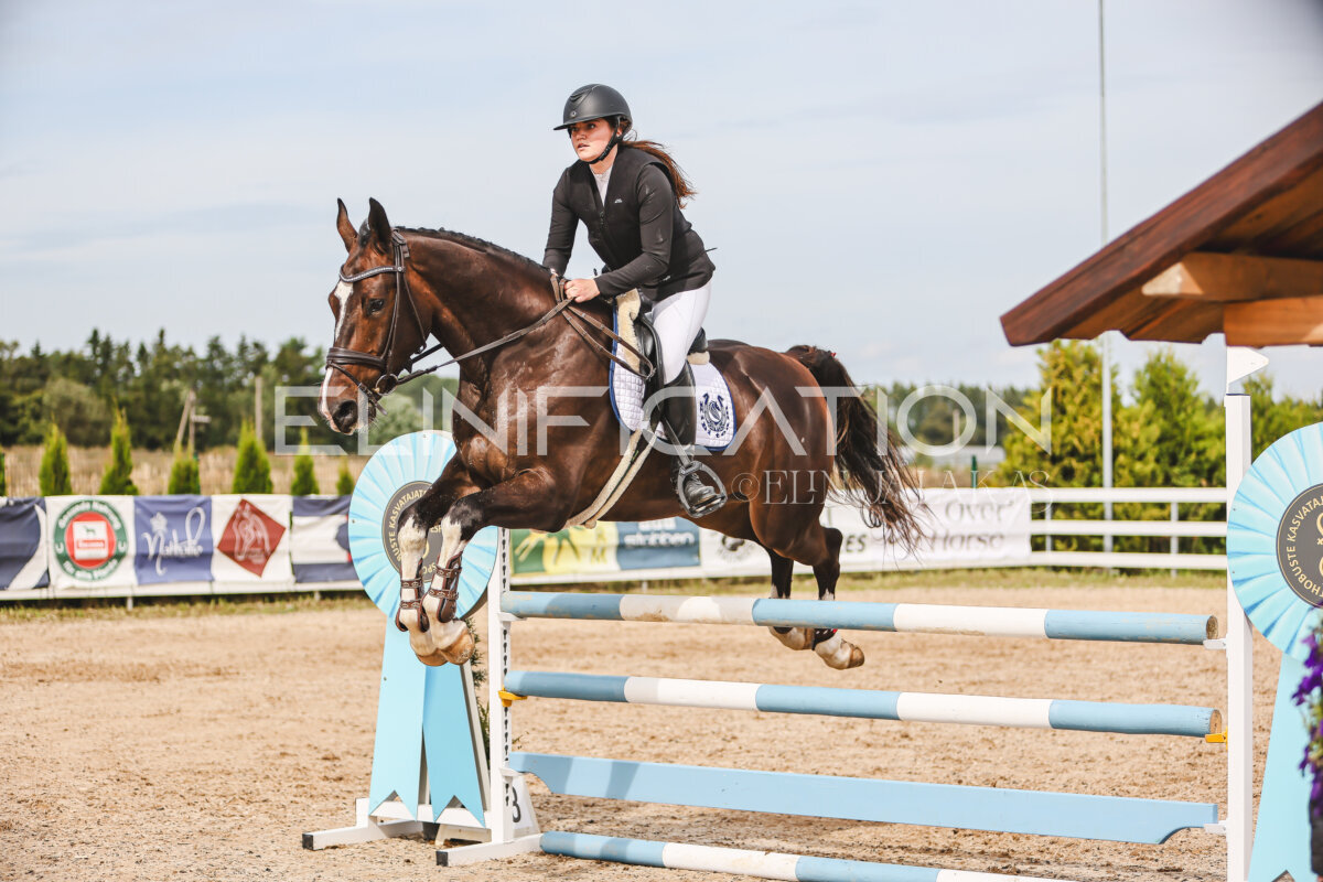 NHTS_2026_5_110cm_318