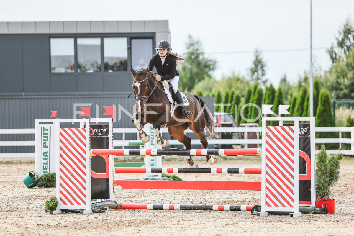 NHTS_2026_5_110cm_320