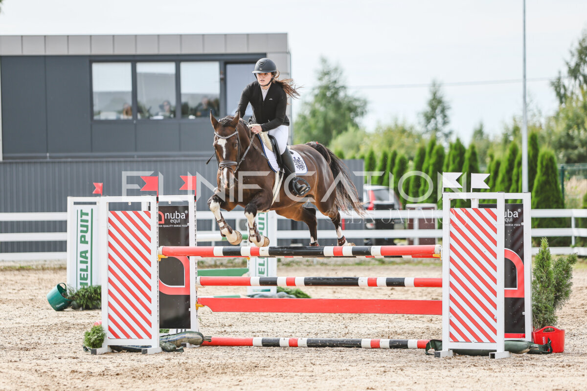 NHTS_2026_5_110cm_321