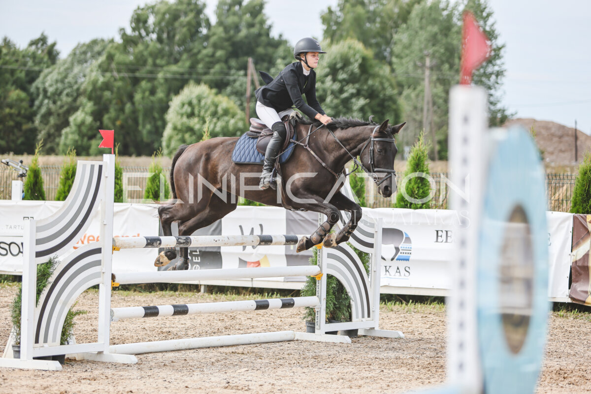 NHTS_2026_5_110cm_325