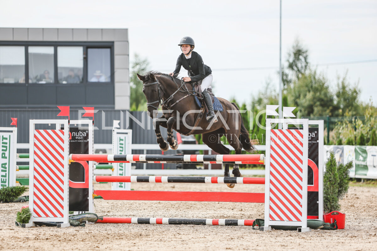 NHTS_2026_5_110cm_331