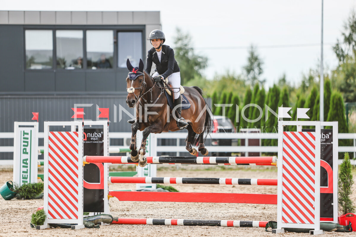 NHTS_2026_5_110cm_346