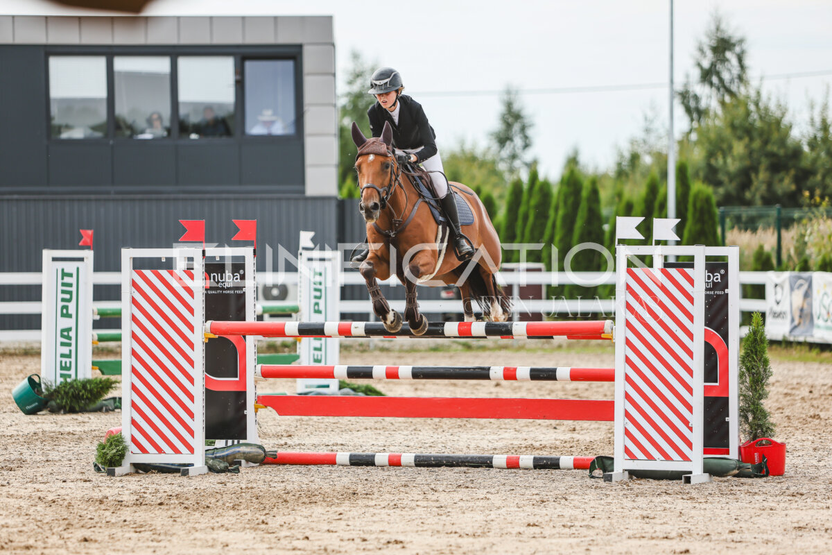 NHTS_2026_5_110cm_359