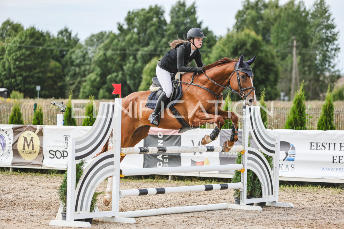 NHTS_2026_5_110cm_392