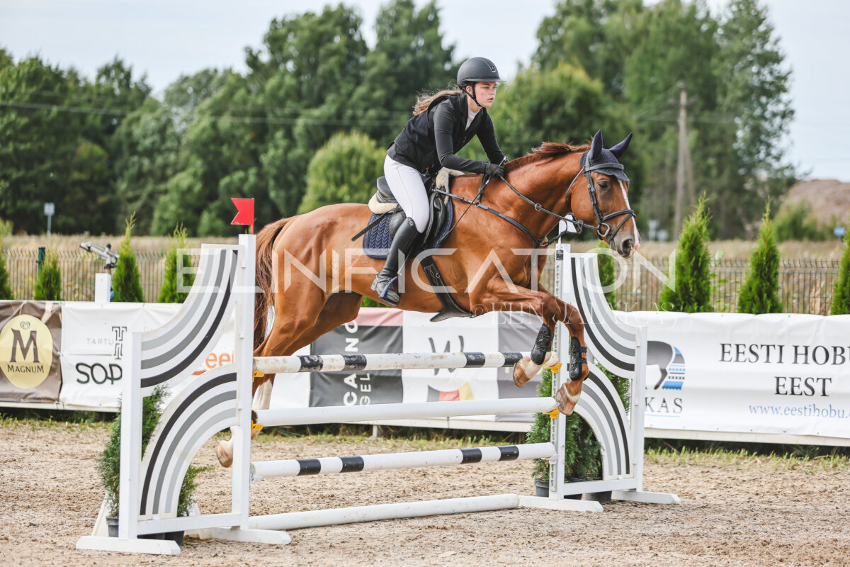 NHTS_2026_5_110cm_393