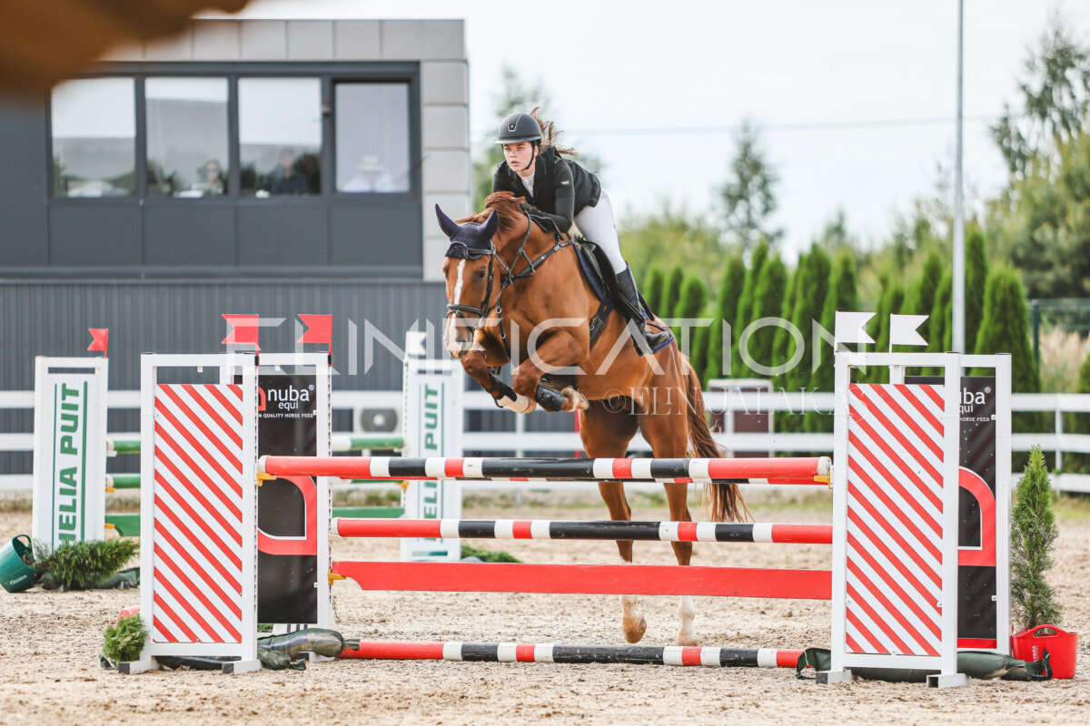 NHTS_2026_5_110cm_398