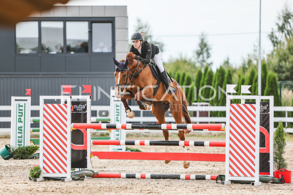 NHTS_2026_5_110cm_399