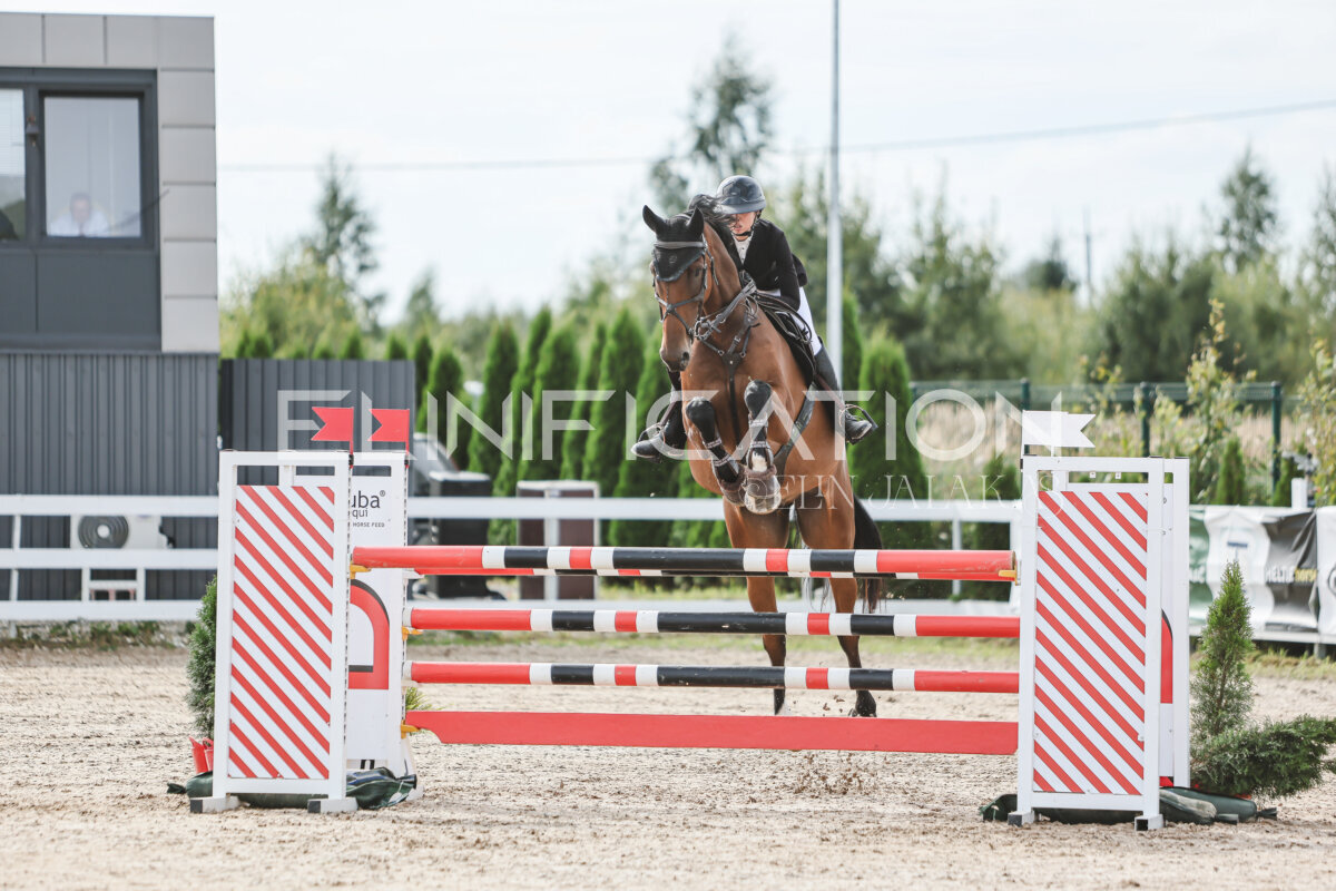 NHTS_2026_6_120cm_011