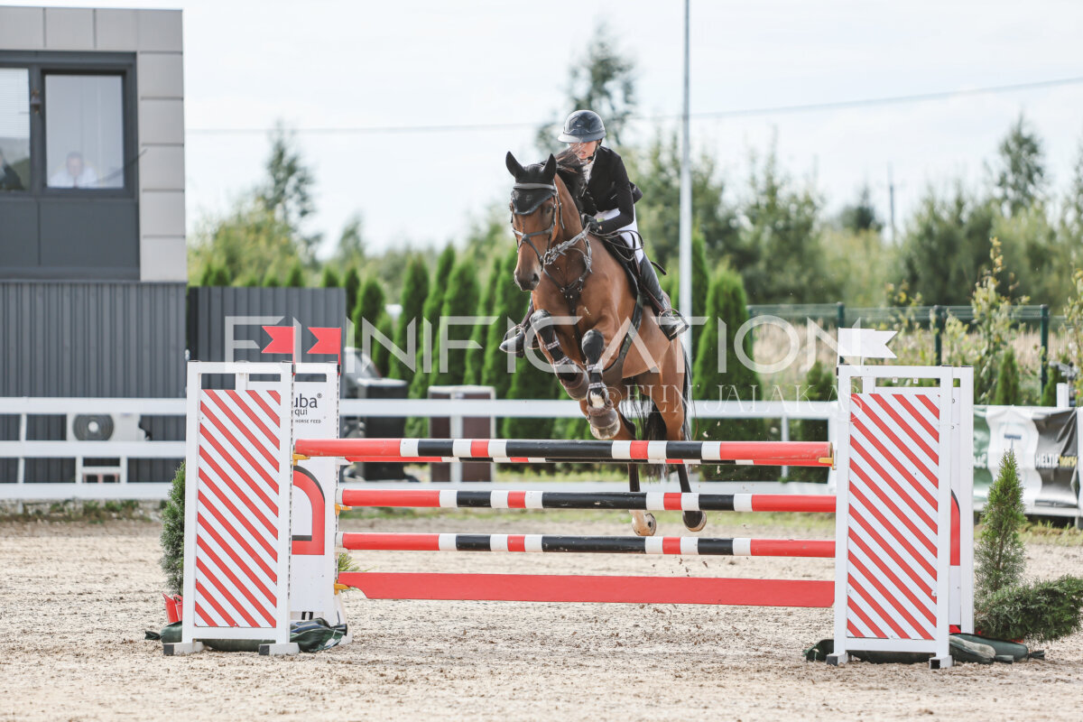 NHTS_2026_6_120cm_013