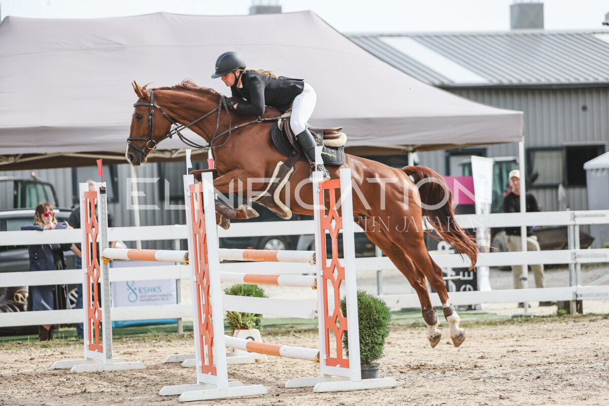 NHTS_2026_6_120cm_079