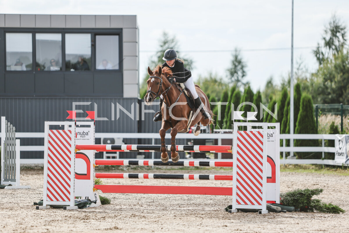 NHTS_2026_6_120cm_084