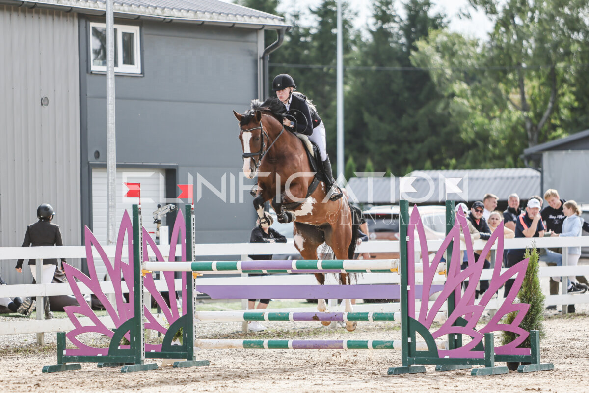 NHTS_2026_6_120cm_175