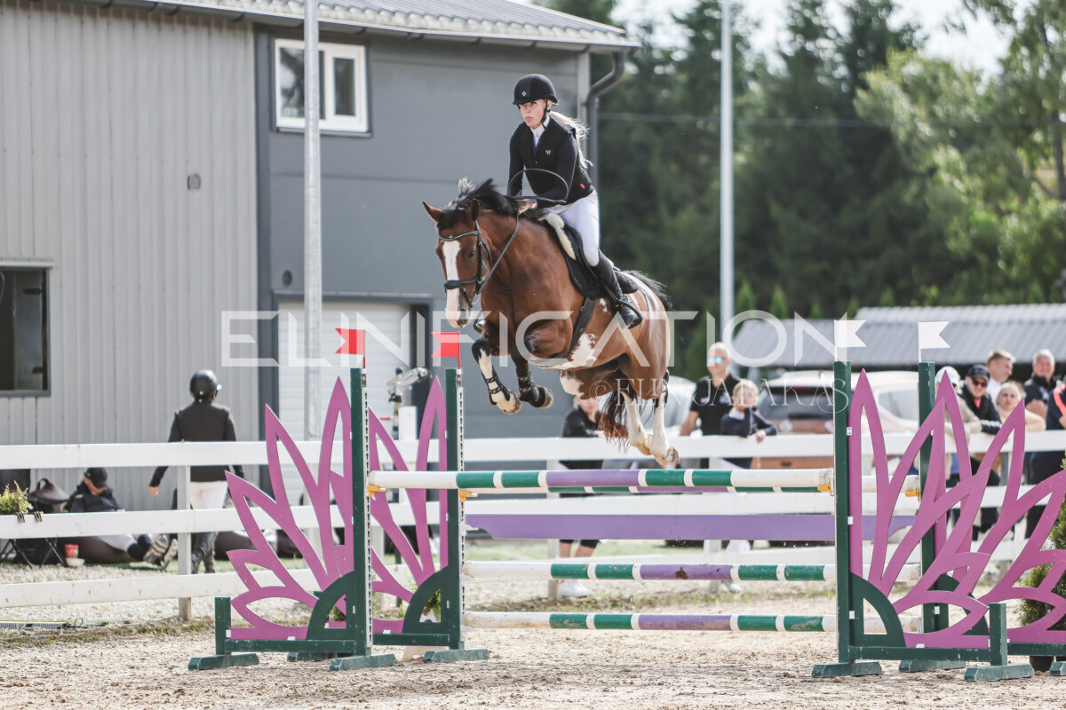 NHTS_2026_6_120cm_179