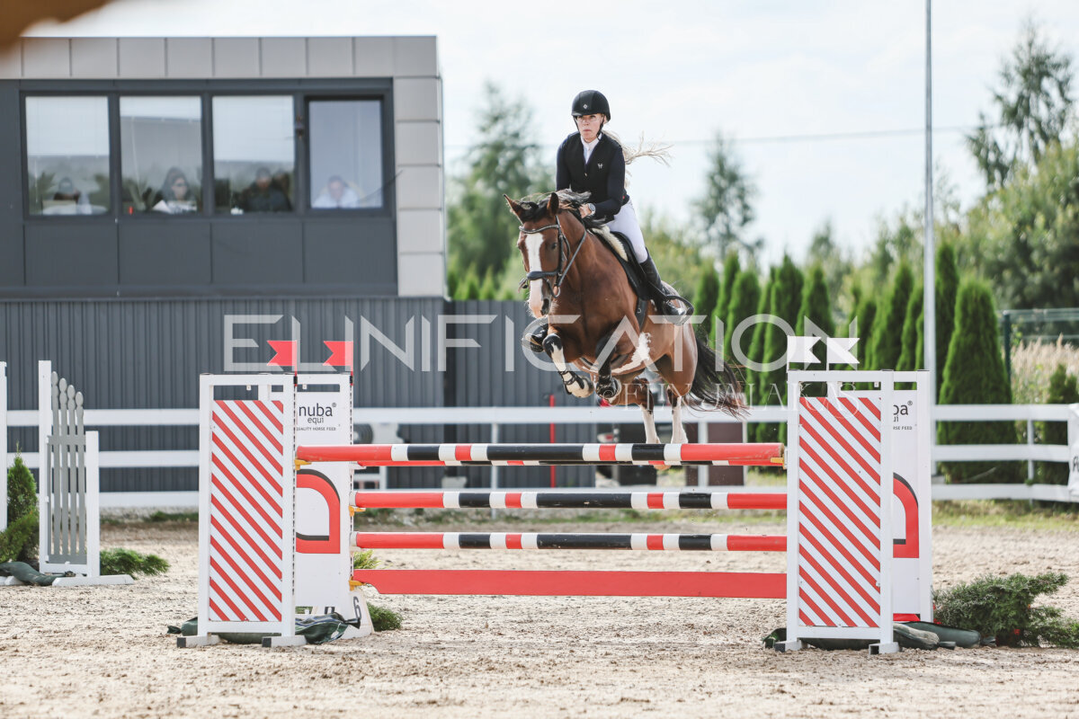 NHTS_2026_6_120cm_187