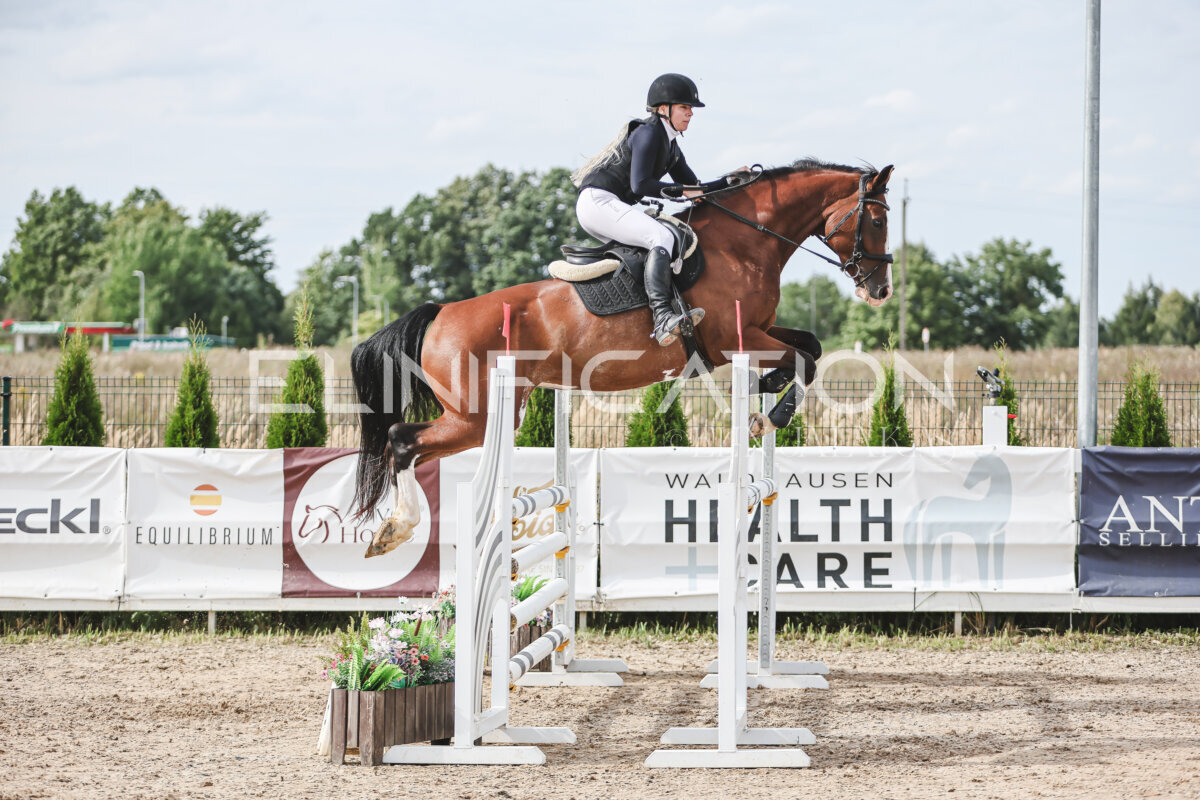 NHTS_2026_6_120cm_198