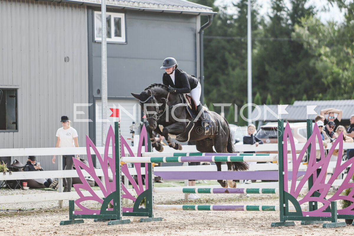 NHTS_2026_6_120cm_202