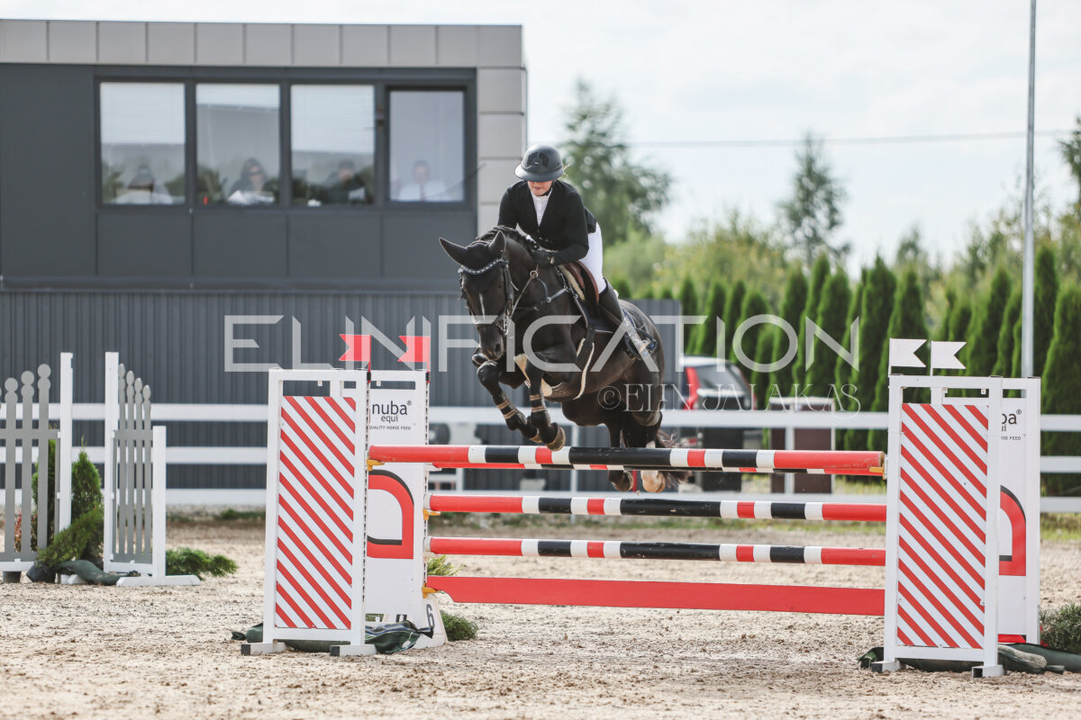 NHTS_2026_6_120cm_212