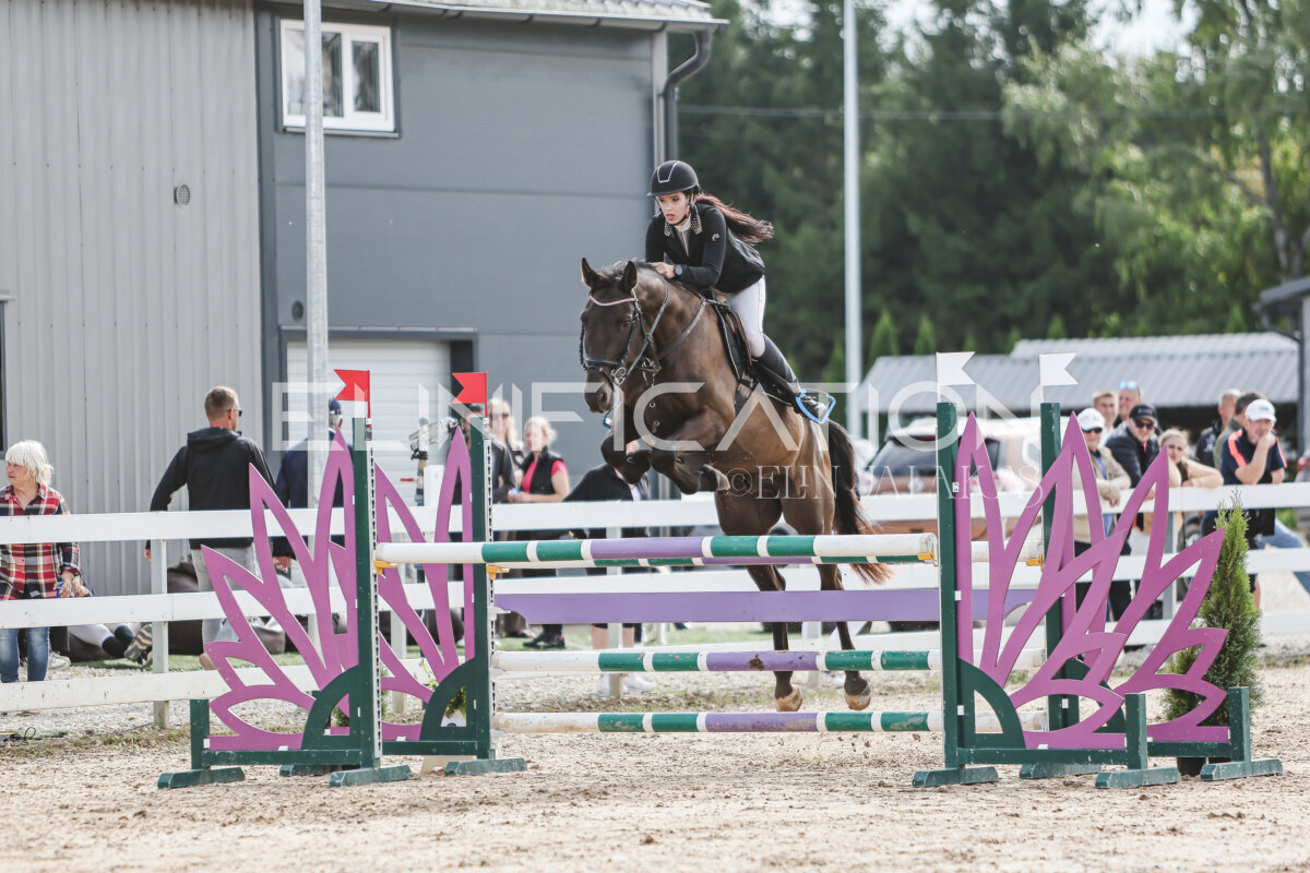 NHTS_2026_6_120cm_216