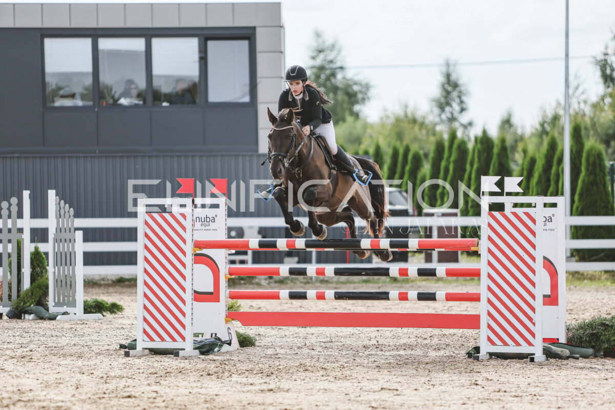 NHTS_2026_6_120cm_225