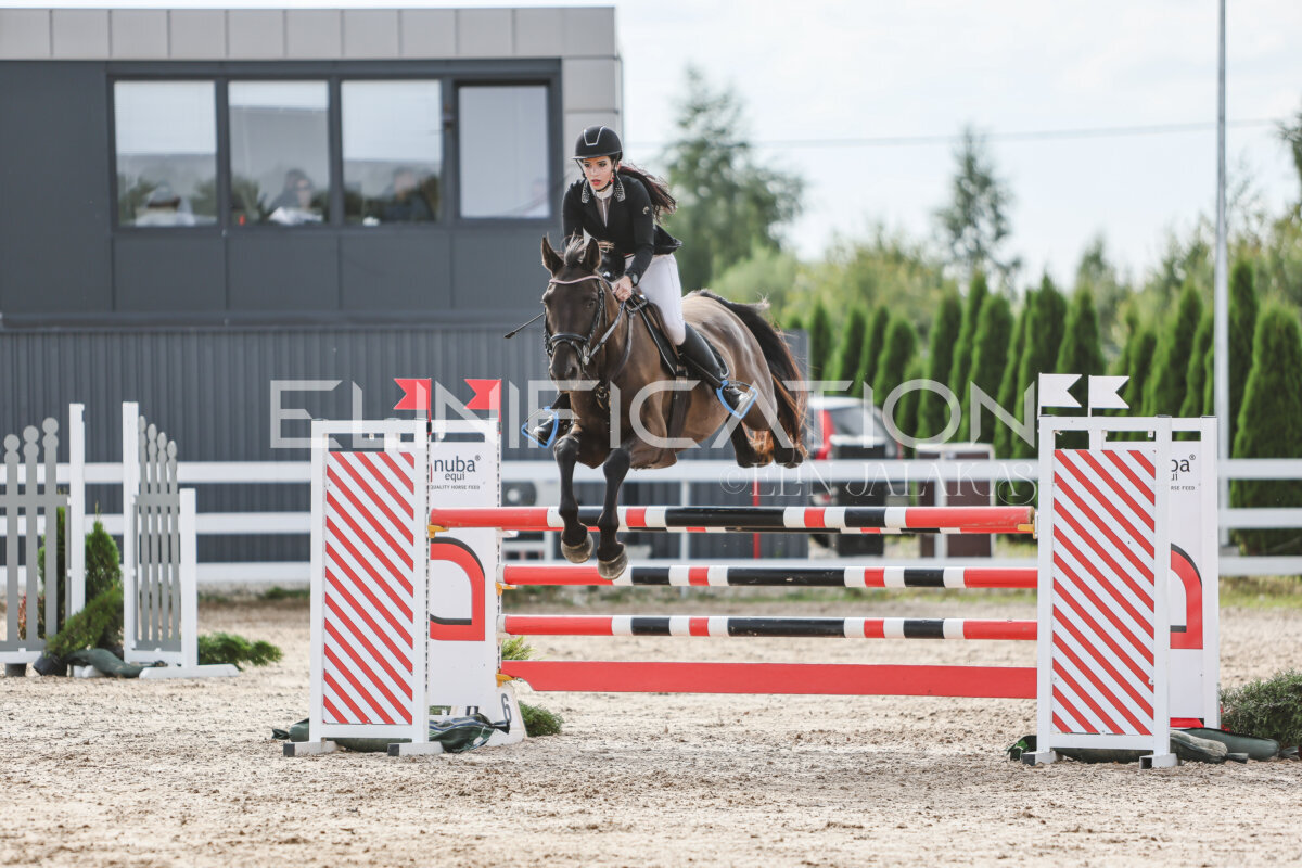NHTS_2026_6_120cm_227