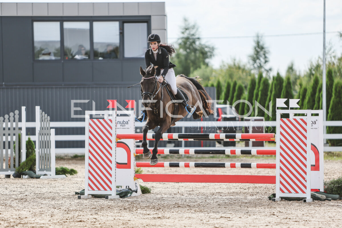 NHTS_2026_6_120cm_228