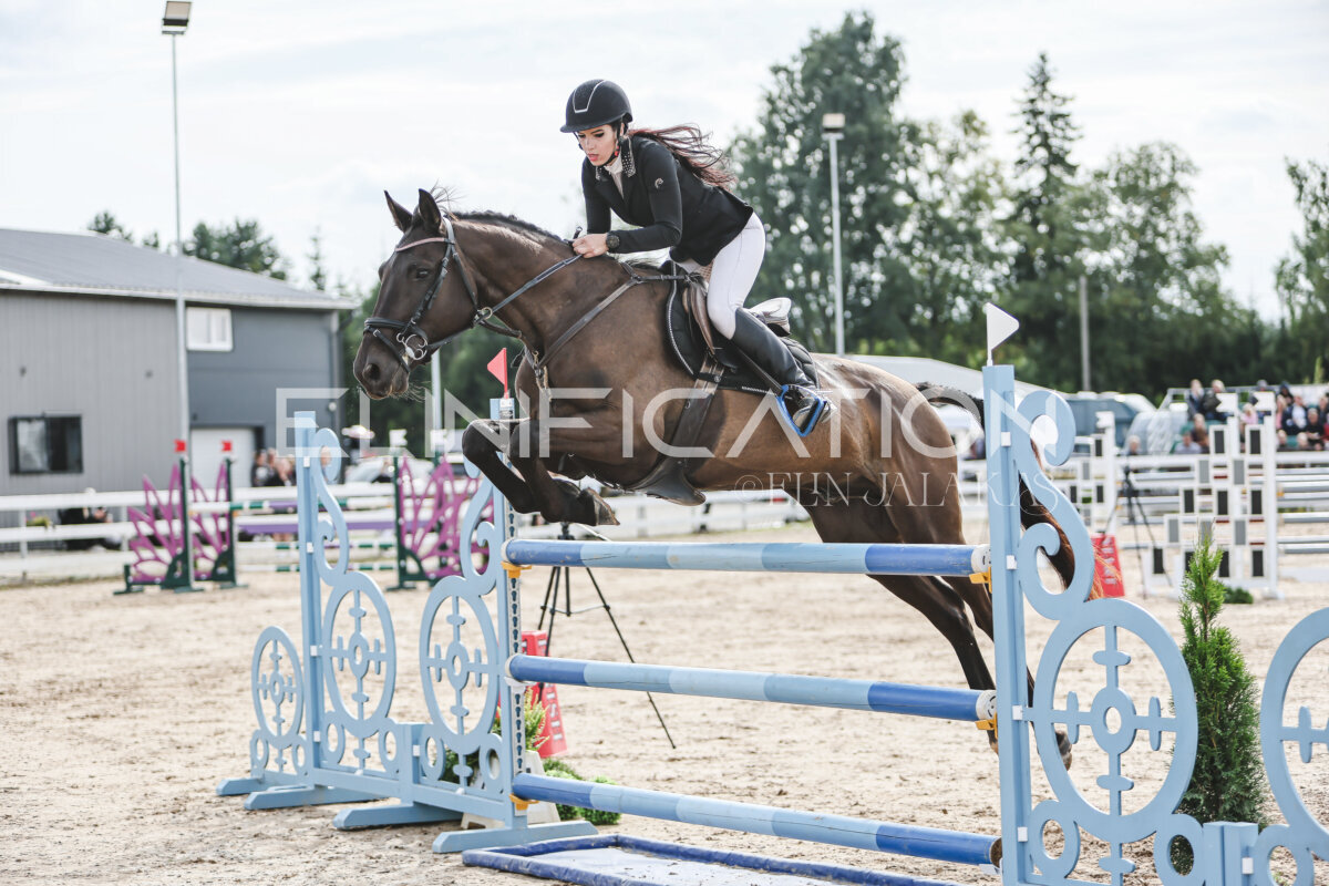 NHTS_2026_6_120cm_230