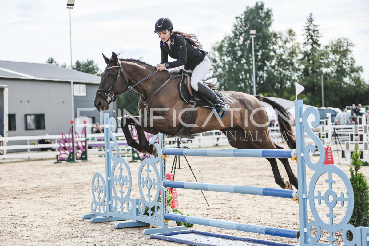 NHTS_2026_6_120cm_231
