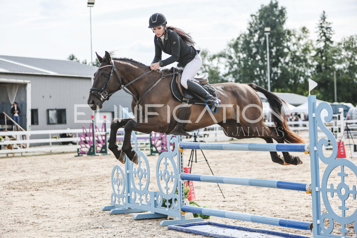 NHTS_2026_6_120cm_232