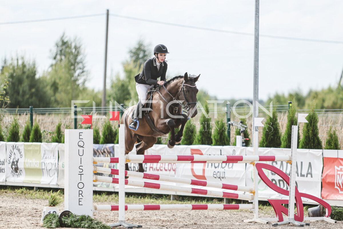 NHTS_2026_6_120cm_233