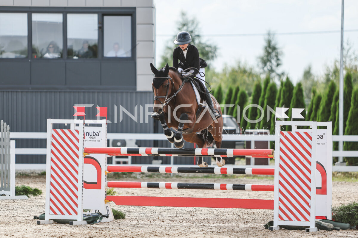 NHTS_2026_6_120cm_245
