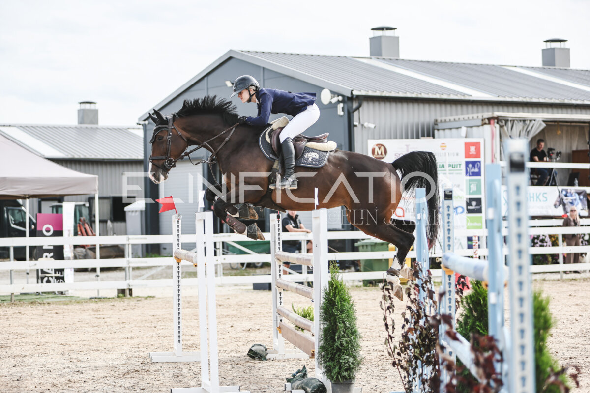 NHTS_2026_7_hc130-135cm_005