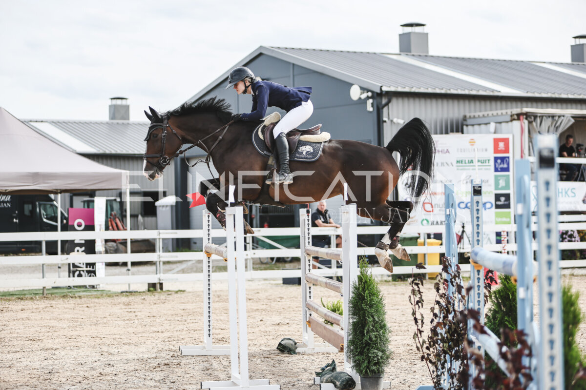 NHTS_2026_7_hc130-135cm_006