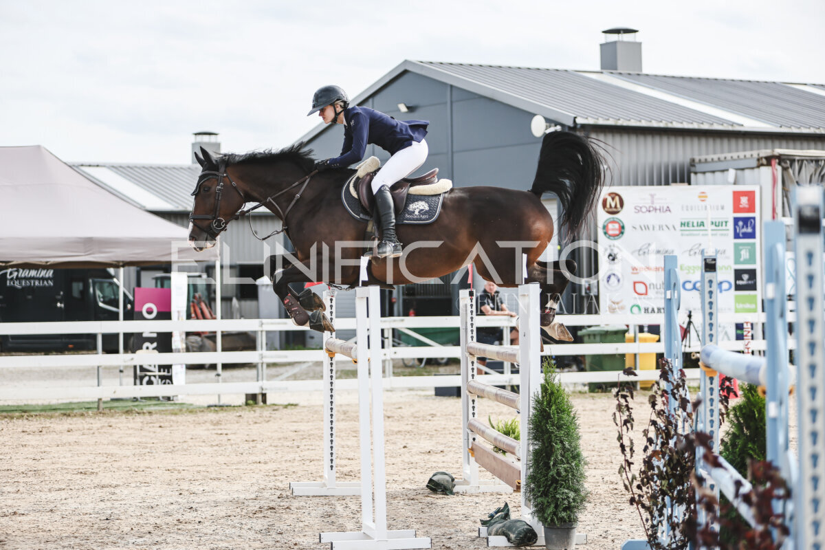 NHTS_2026_7_hc130-135cm_007