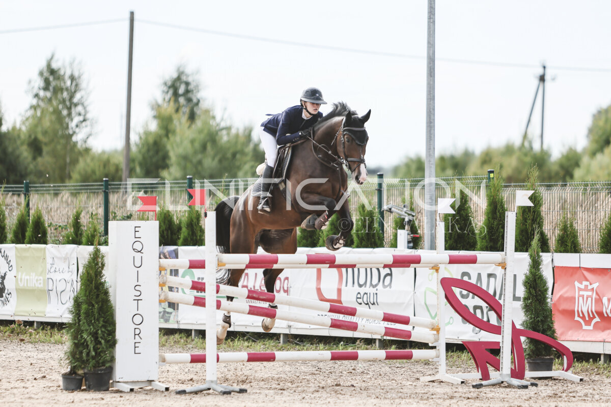 NHTS_2026_7_hc130-135cm_010