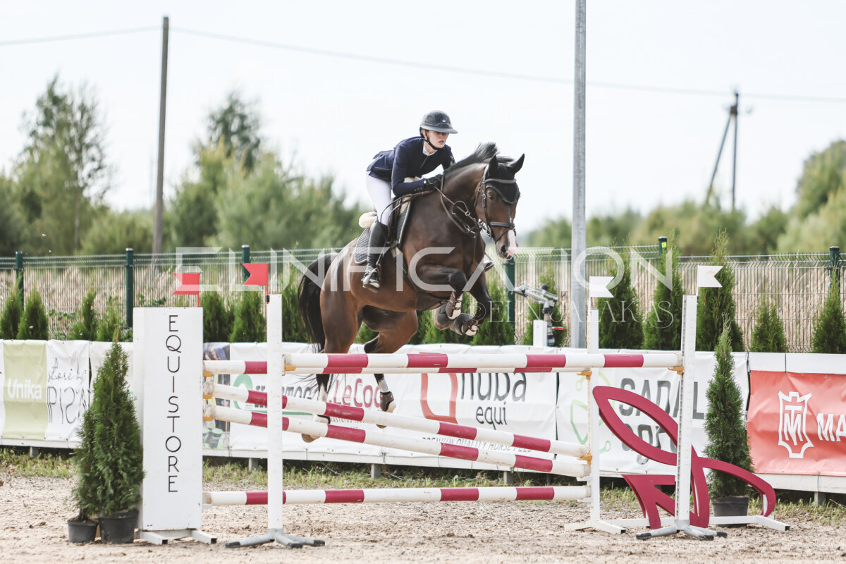 NHTS_2026_7_hc130-135cm_011